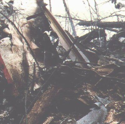 JAL 123 enkazı (FAA arşivi)